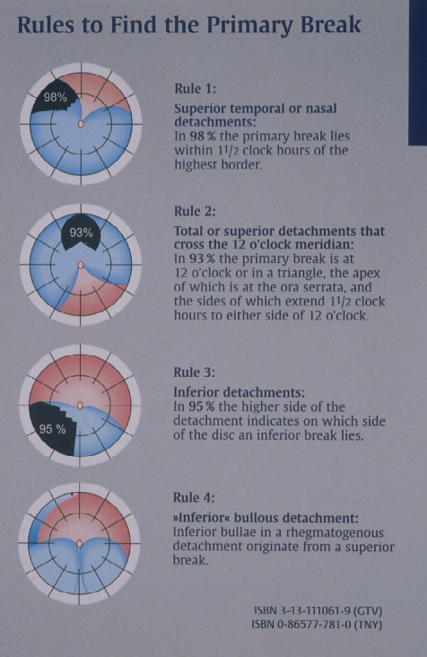 n8s6 fig 6